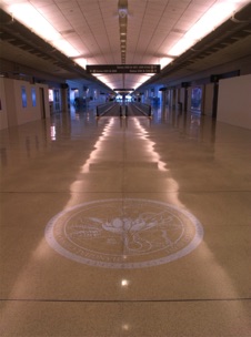 Shining Paths/Shanghai, Terminal G